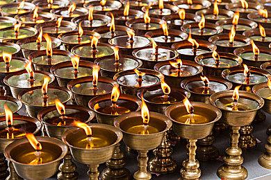 官宣！2月14号《旧日女修》正式版周五上线！